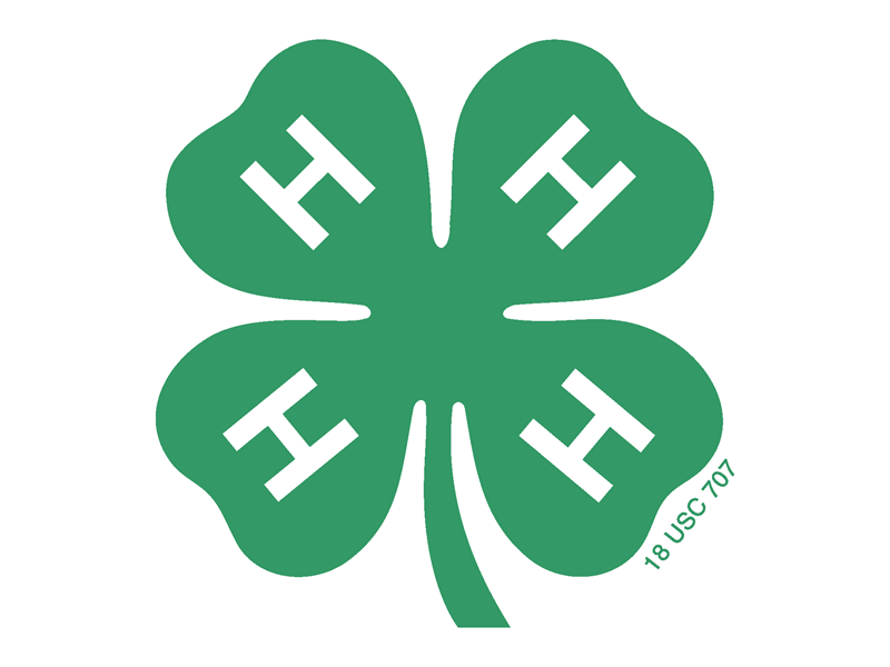 Logo for 2026 Chautauqua County 4-H Fair